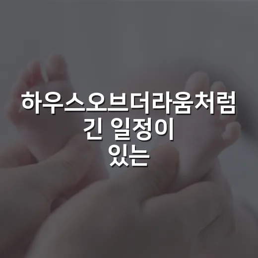 하우스오브더라움처럼 긴 일정이 있는 날, 컨디션은 어떻게 챙기고 계신가요? - 요약