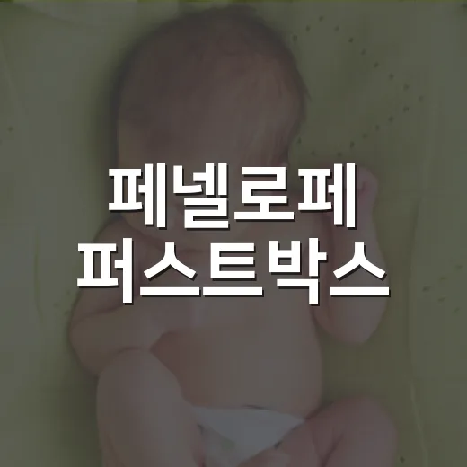 페넬로페 퍼스트박스, 임신 중 받아두면 정말 쓸모가 있을까요? - 요약