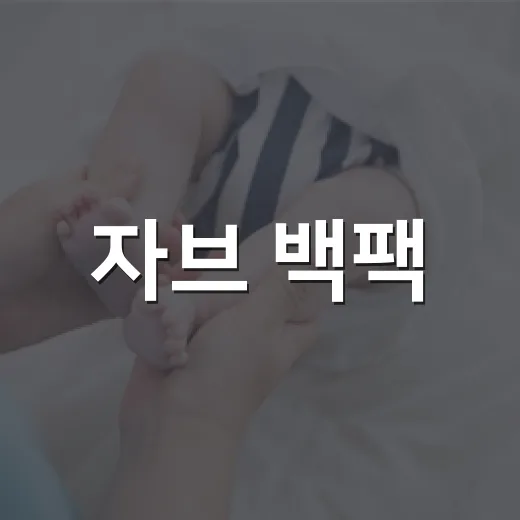 자브 백팩, 매일 메고 다니는 가방이 어깨와 목을 힘들게 하고 있나요? - 요약