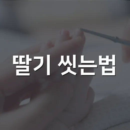 딸기 씻는법, 물에 오래 담가두면 정말 맛이 빠질까요? - 요약