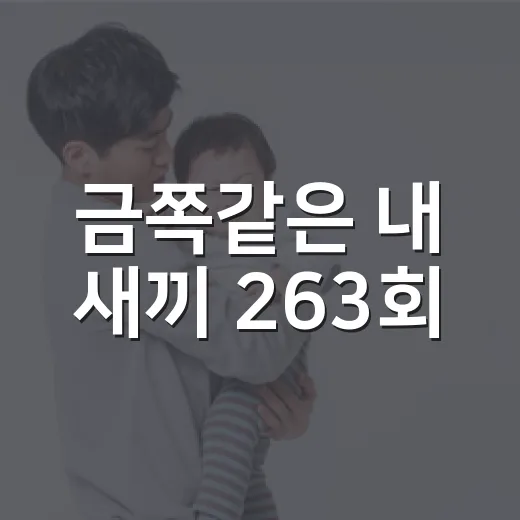 금쪽같은 내 새끼 263회, 아이의 거친 행동을 어디까지 봐야 할까요? - 요약