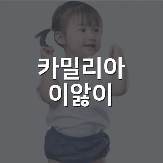 카밀리아 이앓이, 아기에게 써도 괜찮을까요? - 요약