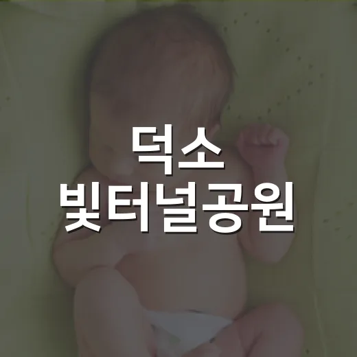 덕소 빛터널공원, 걷기 코스로 다녀와도 괜찮을까요? - 요약