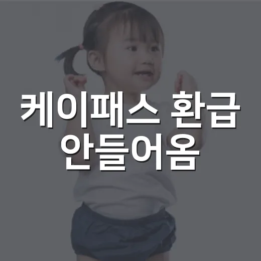 케이패스 환급 안들어옴, 왜 아직 입금이 안 됐을까요? - 요약