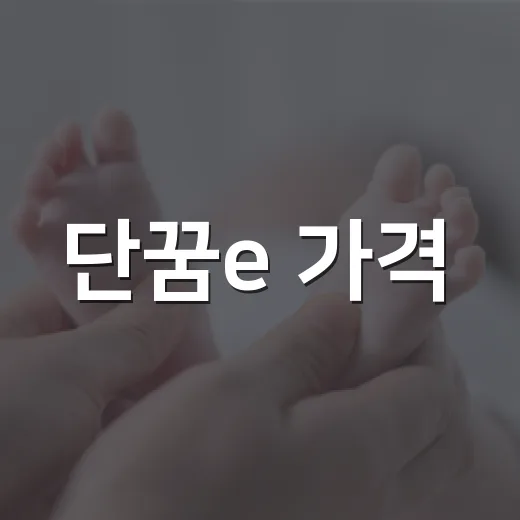 단꿈e 가격, 우리 아이에게 부담 없는 선택일까요? - 요약