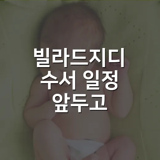 빌라드지디 수서 일정 앞두고 컨디션이 걱정되시나요? - 요약