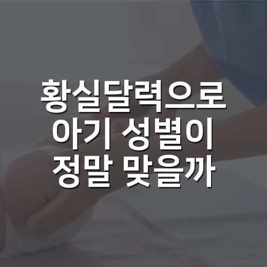 황실달력으로 아기 성별이 정말 맞을까요? - 요약