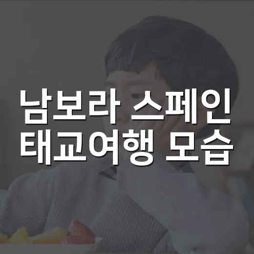 남보라 스페인 태교여행 모습, 임신 중 여행은 언제가 편할까요? - 요약