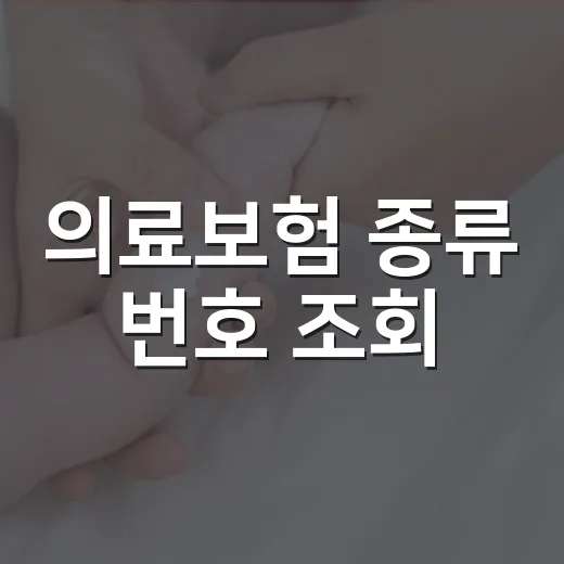 의료보험 종류 번호 조회, 어디서 확인해야 헷갈리지 않을까요? - 요약