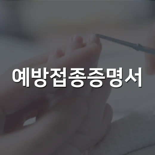 예방접종증명서, 어디서 발급받고 언제 필요할까요? - 요약