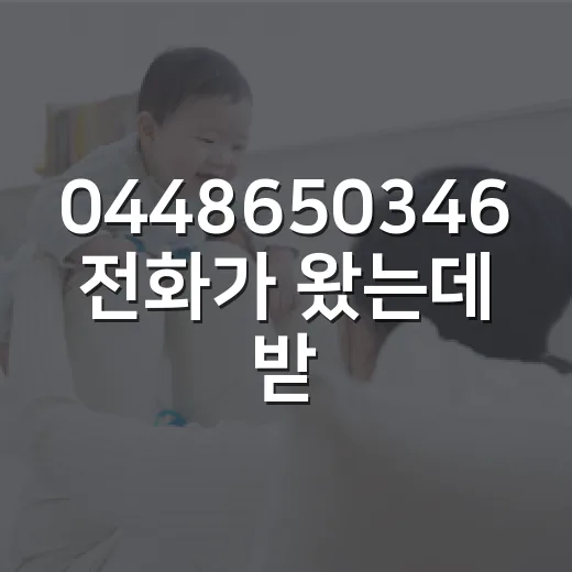 0448650346 전화가 왔는데 받아도 괜찮을까요? - 요약