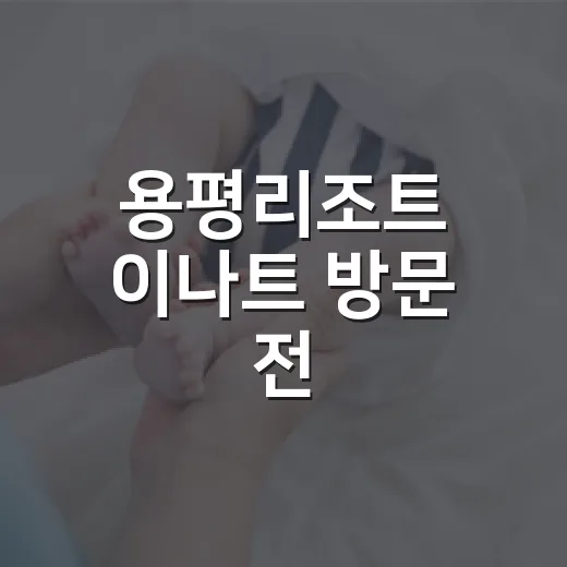 용평리조트 이나트 방문 전, 몸 컨디션은 어떻게 챙기고 계신가요? - 요약