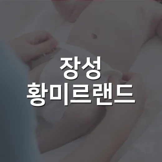 장성 황미르랜드, 꽃길 걷기 전에 몸 컨디션도 챙기고 계신가요? - 요약