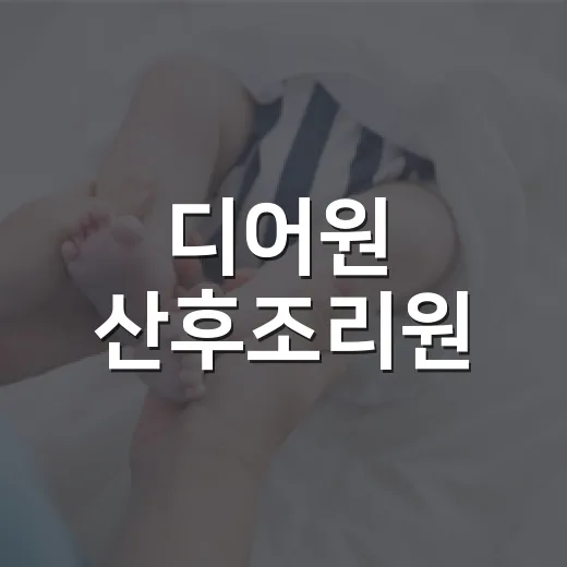 디어원 산후조리원, 어떤 점을 확인하고 선택하면 좋을까요? - 요약