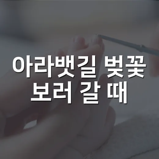아라뱃길 벚꽃 보러…