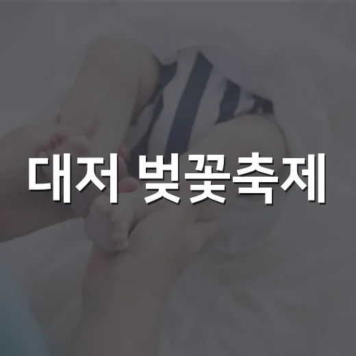 대저 벚꽃축제, 오래 걷고도 덜 지치게 즐기고 계신가요? - 요약
