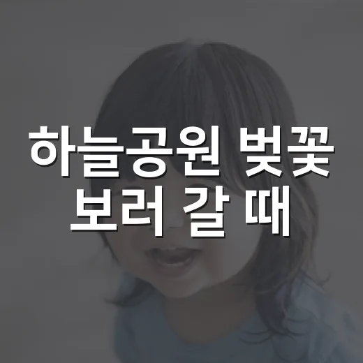 하늘공원 벚꽃 보러…