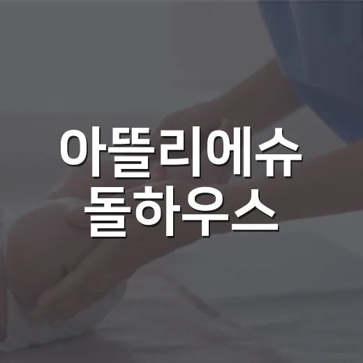 아뜰리에슈 돌하우스, 아이 놀이방에 들이기 전 무엇을 봐야 할까요? - 요약