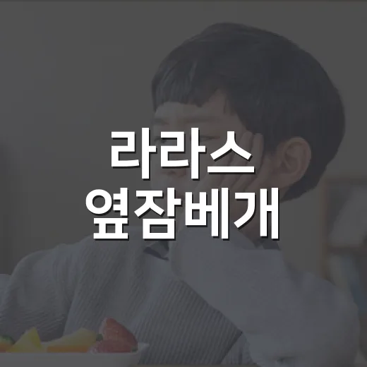 라라스 옆잠베개, 옆으로 자는 습관에 정말 맞을까요? - 요약