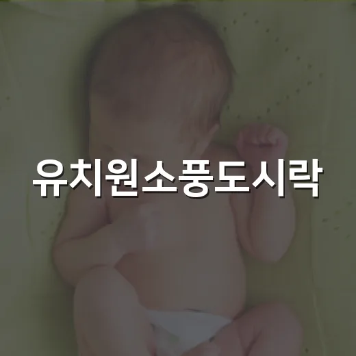유치원소풍도시락, 아이가 잘 먹고 탈 나지 않게 싸려면 어떻게 해야 할까요? - 요약
