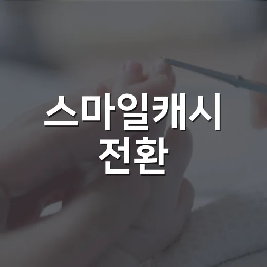 스마일캐시 전환, 그냥 눌러도 괜찮을까요? - 요약
