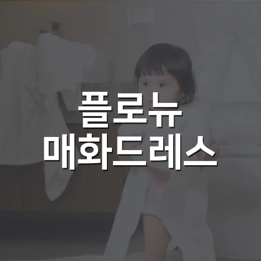 플로뉴 매화드레스, 예쁘기만 보고 고르면 불편할까요? - 요약