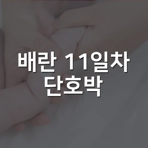 배란 11일차 단호박, 아직 희망을 내려놓기 이른 걸까요? - 요약