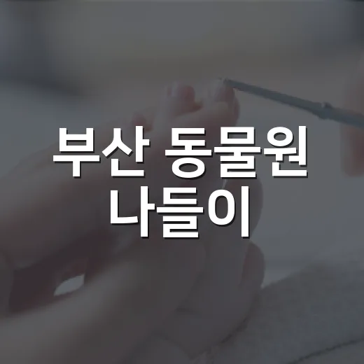 부산 동물원 나들이, 아이와 부모 건강까지 챙기고 계신가요? - 요약