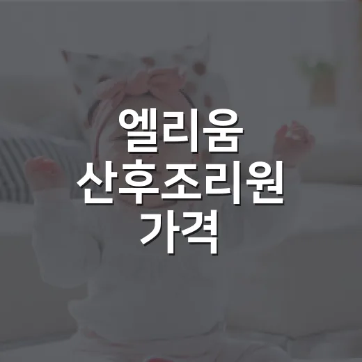 엘리움 산후조리원 가격, 2주 비용이 왜 이렇게 차이 날까요? - 요약