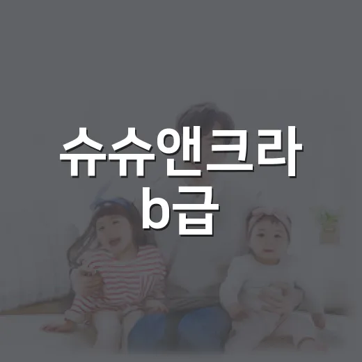 슈슈앤크라 b급, 아이 옷으로 골라도 괜찮을까요? - 요약
