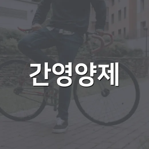 간영양제, 피곤할 때마다 먹어도 괜찮을까요? - 요약