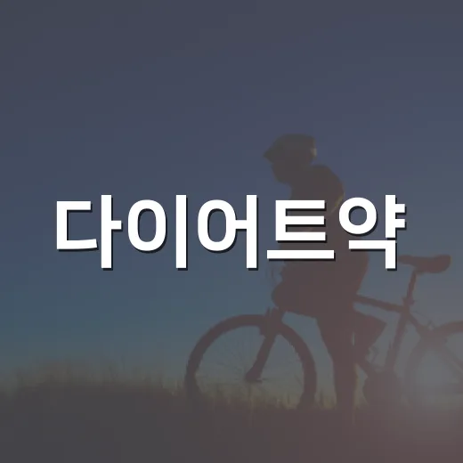 다이어트약, 언제 먹어도 괜찮을까요? - 요약