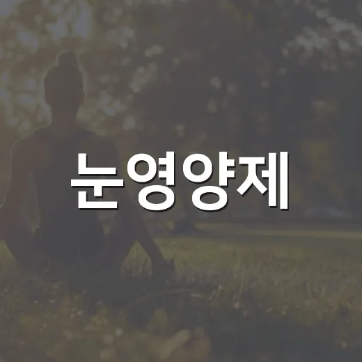 눈영양제, 정말 챙겨 먹어야 할까요? - 요약
