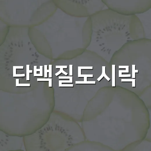 단백질도시락, 매일 먹어도 괜찮을까요? - 요약