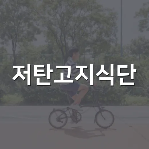 저탄고지식단, 살은 빠진다는데 내 몸에는 맞고 계신가요? - 요약