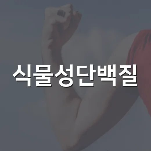 식물성단백질, 고기 대신 먹어도 충분할까요? - 요약