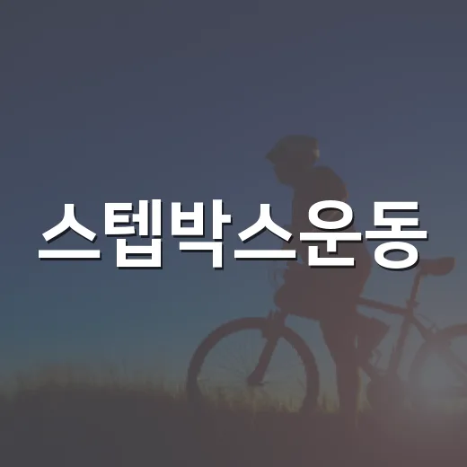 스텝박스운동, 무릎에 부담 없이 해도 괜찮을까요? - 요약