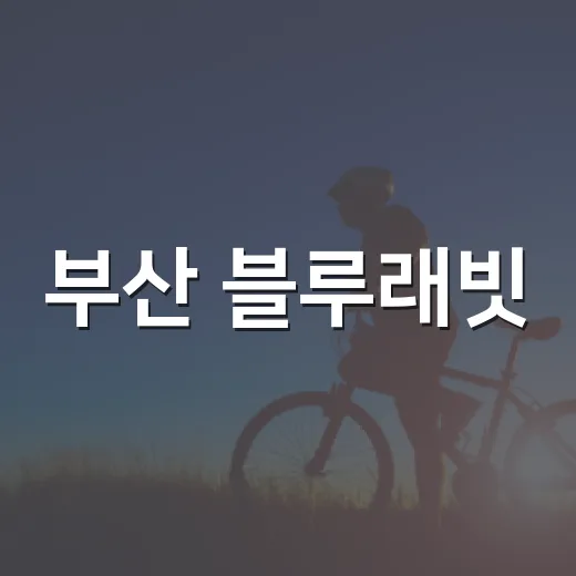 부산 블루래빗, 아이와 가기 전에 무엇을 챙기면 좋을까요? - 요약
