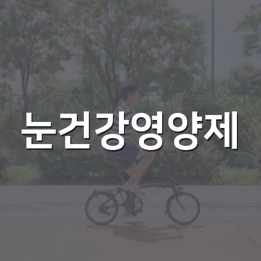 눈건강영양제, 루테인만 먹으면 충분할까요? - 요약