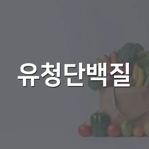 유청단백질, 매일 먹어도 괜찮을까요? - 요약