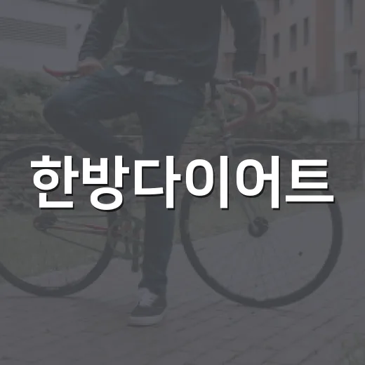 한방다이어트, 내 몸에 맞는 선택인지 궁금하신가요? - 요약