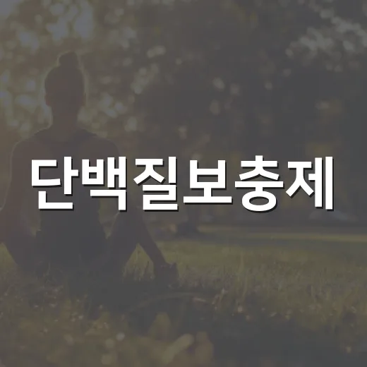 단백질보충제, 매일 먹어도 괜찮을까요? - 요약