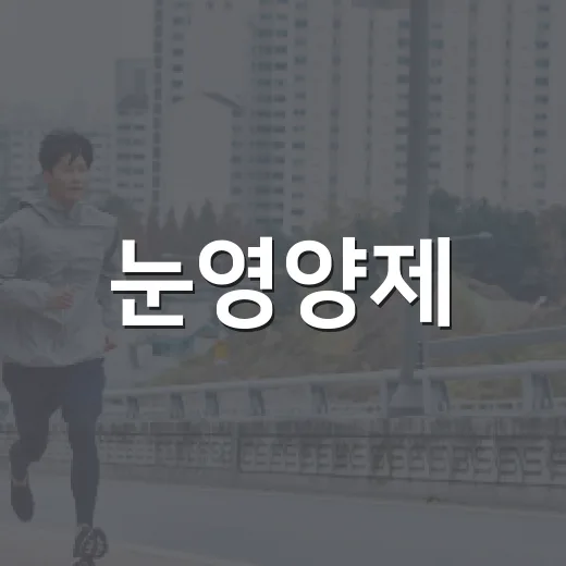눈영양제, 피곤한 눈에도 정말 필요할까요? - 요약