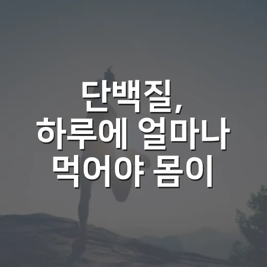 단백질, 하루에 얼마나 먹어야 몸이 편할까요? - 요약
