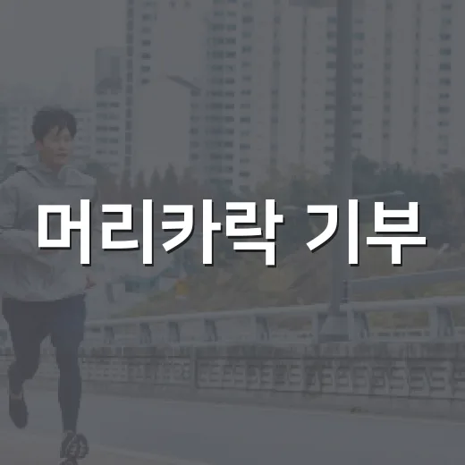 머리카락 기부, 자르기 전에 무엇부터 확인해야 할까요? - 요약
