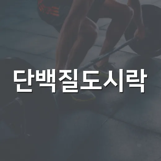 단백질도시락, 매일 먹어도 괜찮을까요? - 요약