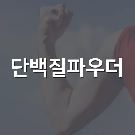 단백질파우더, 매일 먹어도 괜찮을까요? - 요약