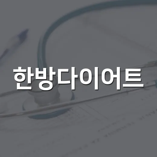 한방다이어트, 체중 감량에 정말 도움이 될까요? - 요약