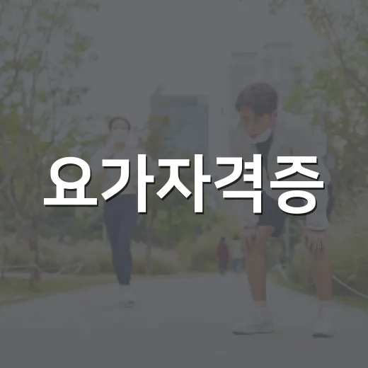 요가자격증, 건강하게 가르치려면 무엇을 봐야 할까요? - 요약
