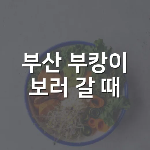 부산 부캉이 보러 갈 때, 어디까지 가까이 가도 괜찮을까요? - 요약